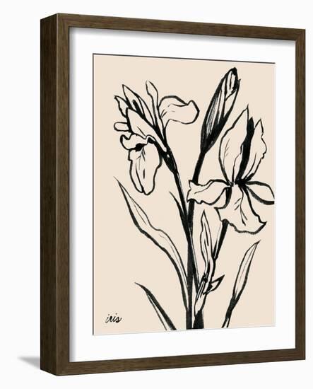 Iris Sketch IV-Grace Popp-Framed Art Print