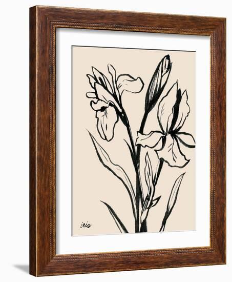 Iris Sketch IV-Grace Popp-Framed Art Print