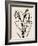 Iris Sketch IV-Grace Popp-Framed Art Print