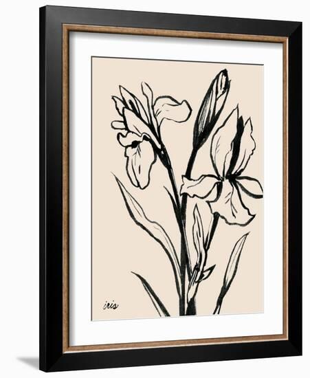 Iris Sketch IV-Grace Popp-Framed Art Print