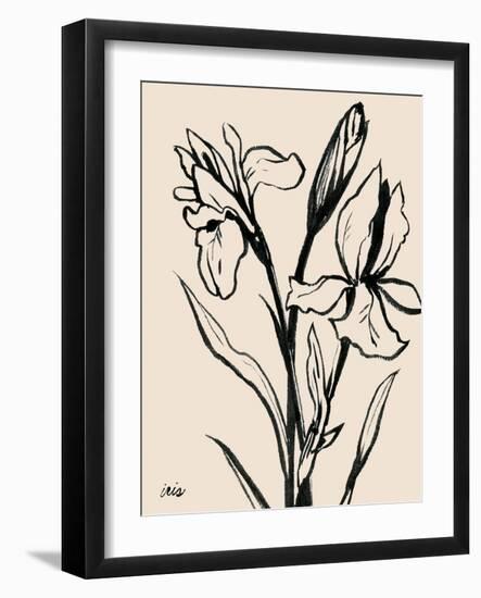 Iris Sketch IV-Grace Popp-Framed Art Print