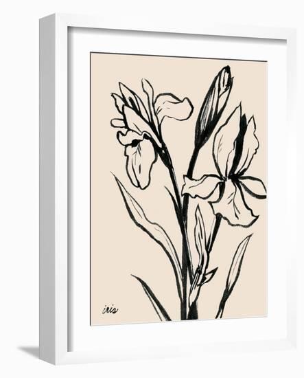 Iris Sketch IV-Grace Popp-Framed Art Print