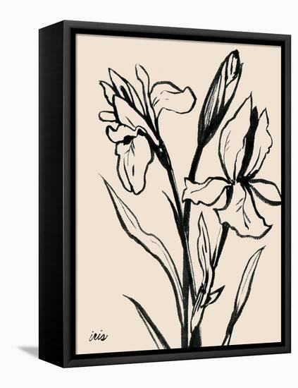 Iris Sketch IV-Grace Popp-Framed Stretched Canvas
