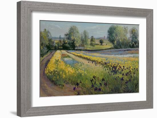 Iris Slope, 1991-Timothy Easton-Framed Giclee Print