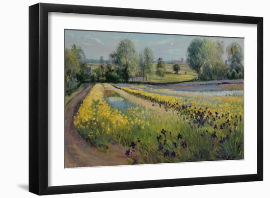 Iris Slope, 1991-Timothy Easton-Framed Giclee Print