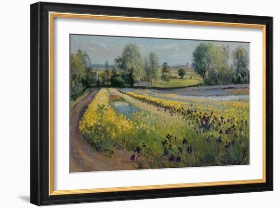 Iris Slope, 1991-Timothy Easton-Framed Giclee Print