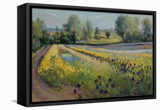 Iris Slope, 1991-Timothy Easton-Framed Premier Image Canvas