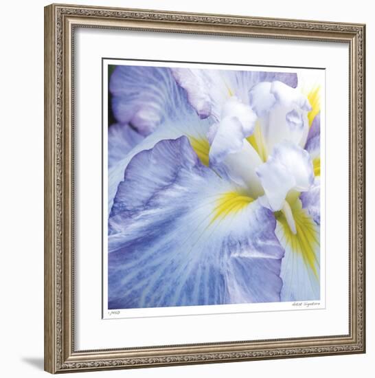 Iris Study 2-Stacy Bass-Framed Giclee Print