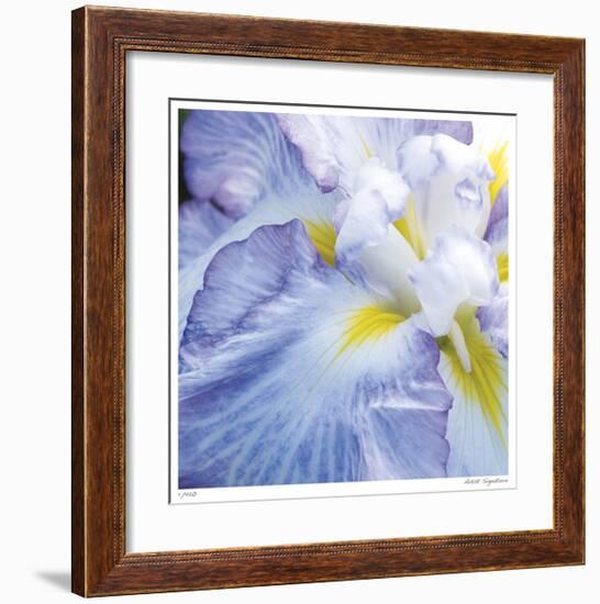 Iris Study 2-Stacy Bass-Framed Giclee Print