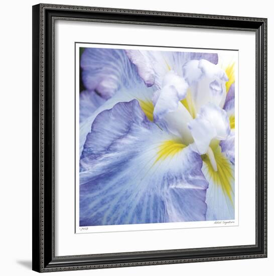 Iris Study 2-Stacy Bass-Framed Giclee Print