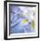 Iris Study 2-Stacy Bass-Framed Giclee Print