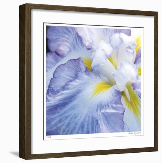 Iris Study 2-Stacy Bass-Framed Giclee Print