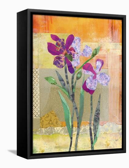 Iris V-Jenny McGee-Framed Stretched Canvas