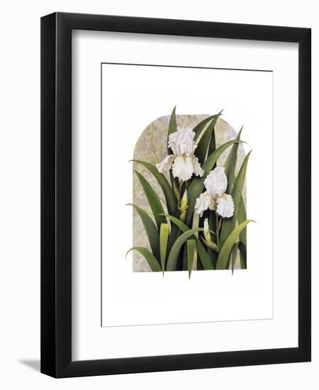 Iris Vignette-Marcia Matcham-Framed Art Print