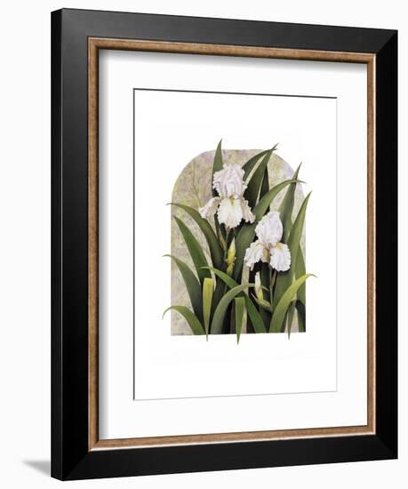 Iris Vignette-Marcia Matcham-Framed Art Print