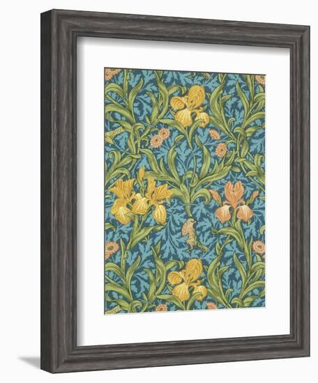 Iris Wallpaper, Paper, England, Late 19th Century-William Morris-Framed Giclee Print