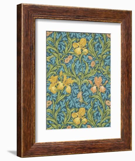 Iris Wallpaper, Paper, England, Late 19th Century-William Morris-Framed Giclee Print