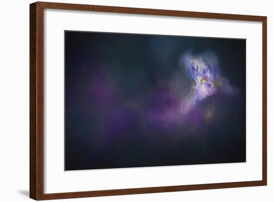 Iris Whisper-Jai Johnson-Framed Giclee Print