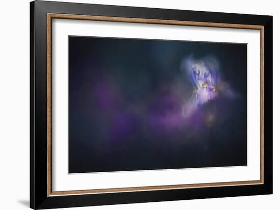 Iris Whisper-Jai Johnson-Framed Giclee Print