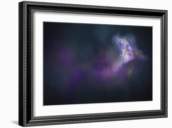 Iris Whisper-Jai Johnson-Framed Giclee Print