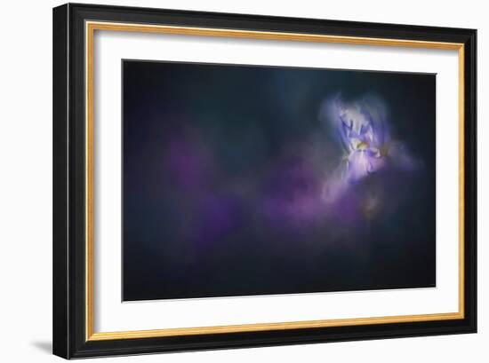 Iris Whisper-Jai Johnson-Framed Giclee Print