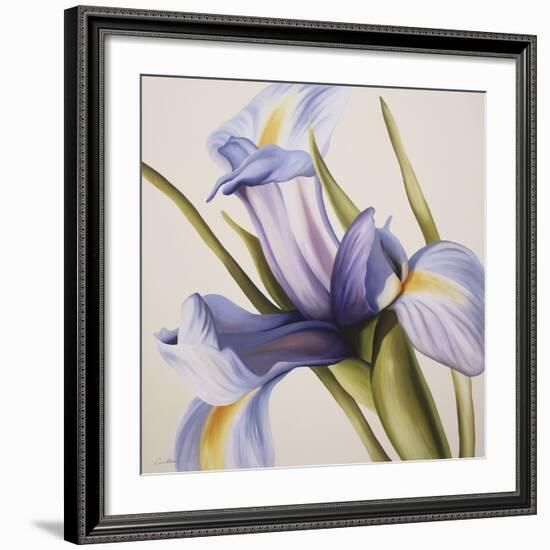 Iris Wind-Carolina Alotus-Framed Giclee Print