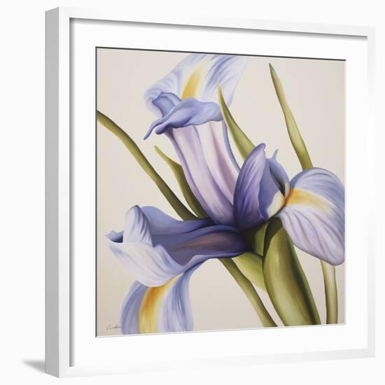 Iris Wind-Carolina Alotus-Framed Giclee Print