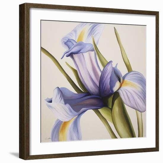 Iris Wind-Carolina Alotus-Framed Giclee Print