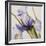 Iris Wind-Carolina Alotus-Framed Giclee Print