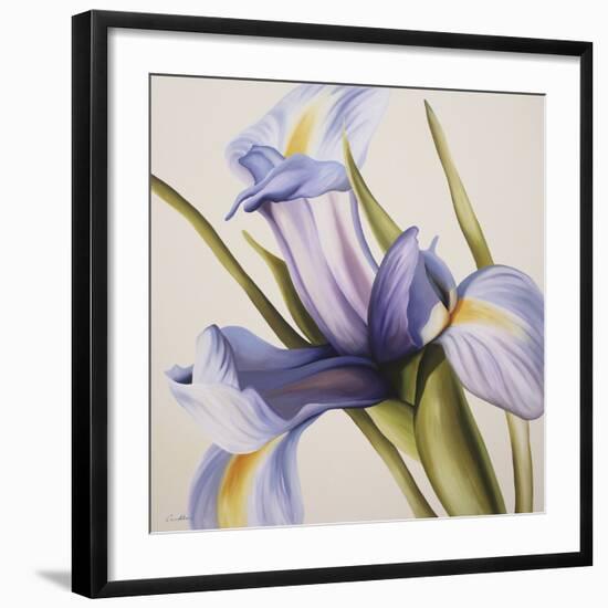 Iris Wind-Carolina Alotus-Framed Giclee Print