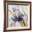 Iris Wind-Carolina Alotus-Framed Giclee Print