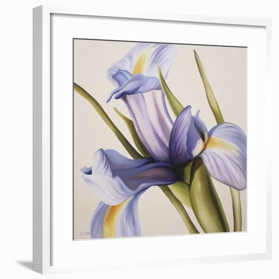 Iris Wind-Carolina Alotus-Framed Giclee Print