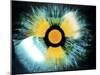 Iris with Radiation Warning Sign-PASIEKA-Mounted Photographic Print