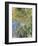 Iris-Claude Monet-Framed Art Print