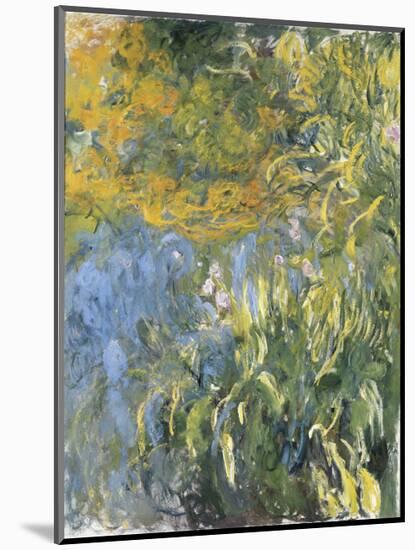 Iris-Claude Monet-Mounted Art Print