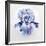 Iris-Lowell Nesbitt-Framed Limited Edition