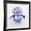 Iris-Lowell Nesbitt-Framed Limited Edition