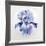 Iris-Lowell Nesbitt-Framed Limited Edition