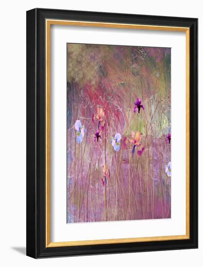 Iris-Claire Westwood-Framed Art Print