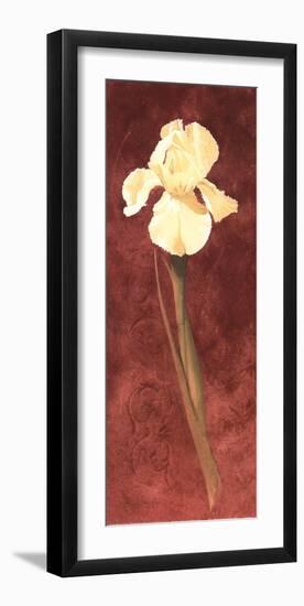 Iris-John Clayton-Framed Art Print