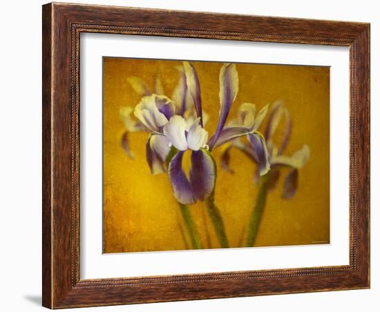 Iris-Irene Suchocki-Framed Photographic Print