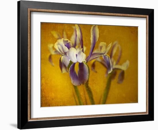 Iris-Irene Suchocki-Framed Photographic Print