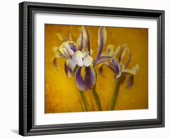 Iris-Irene Suchocki-Framed Photographic Print