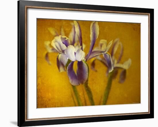 Iris-Irene Suchocki-Framed Photographic Print