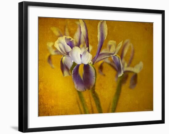 Iris-Irene Suchocki-Framed Photographic Print