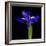 Iris-Magda Indigo-Framed Photographic Print