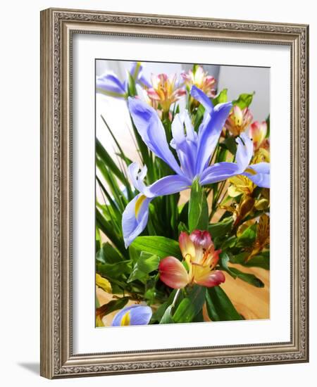 Iris-Charles Bowman-Framed Photographic Print