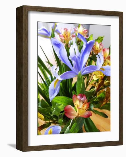 Iris-Charles Bowman-Framed Photographic Print