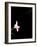 Iris-Charles Bowman-Framed Photographic Print