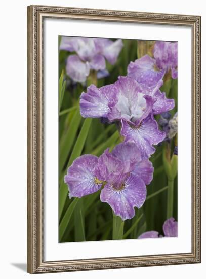 Iris-Lynn M^ Stone-Framed Photographic Print